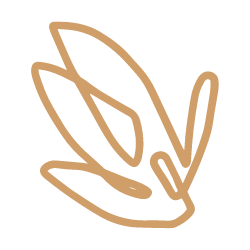 Marijke hoogink de depressie coach